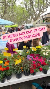 APEL Actualité marché printemps